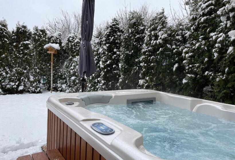 キングサイズベッドのスタンダードルーム, Villa Aruba & Private Spa Suites