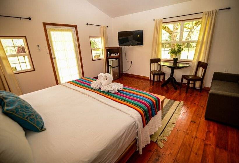 استودیوی استاندارد با تخت دوبل, Kikiwitz Resort