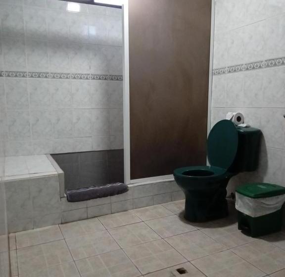 اتاق استاندارد سه نفره, Casa De Alexis