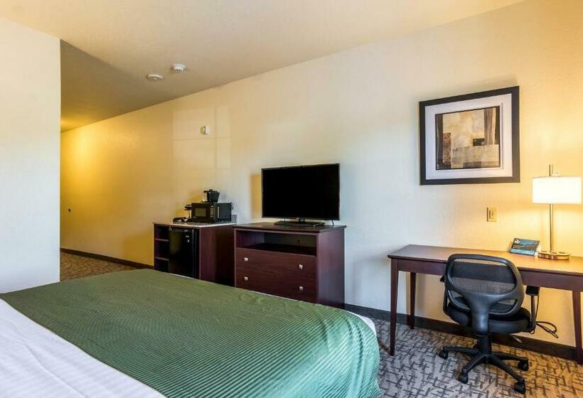 Студия Стандарт, Cobblestone Hotel & Suites   Torrington
