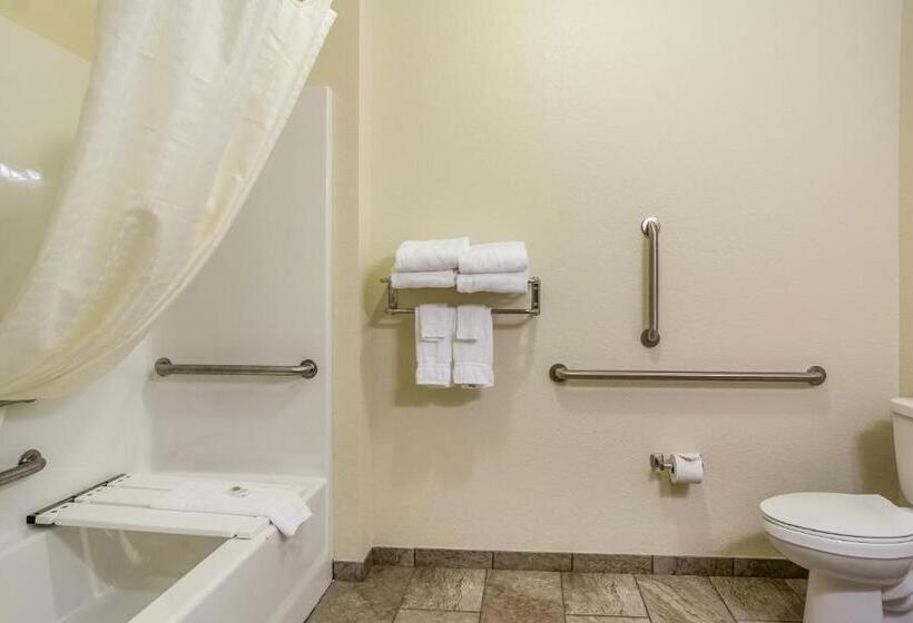 Номер Стандарт Кровать Кинг Адаптированный для Инвалидов, Cobblestone Hotel & Suites   Torrington