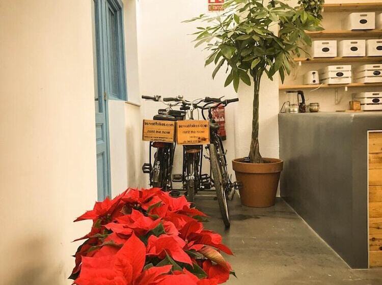 تختخواب در اتاق مشترک, Cantagua Hostel