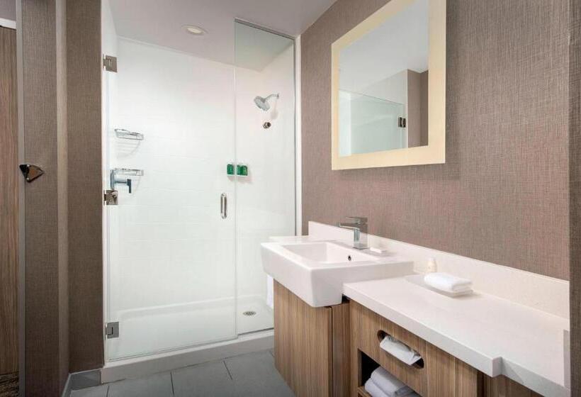 전망 스위트, Springhill Suites By Marriott Punta Gorda Harborside