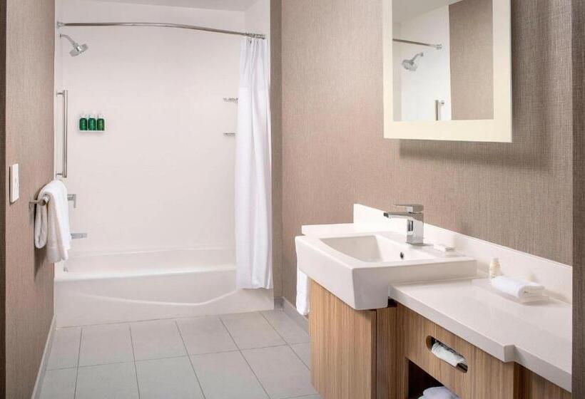 장애인을 위한 스위트, Springhill Suites By Marriott Punta Gorda Harborside