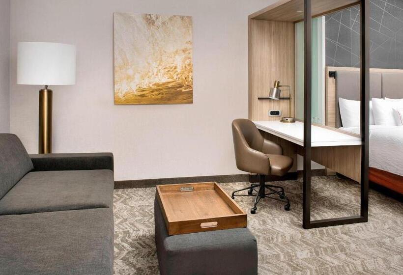 身障者適用スイートルーム, Springhill Suites By Marriott Punta Gorda Harborside