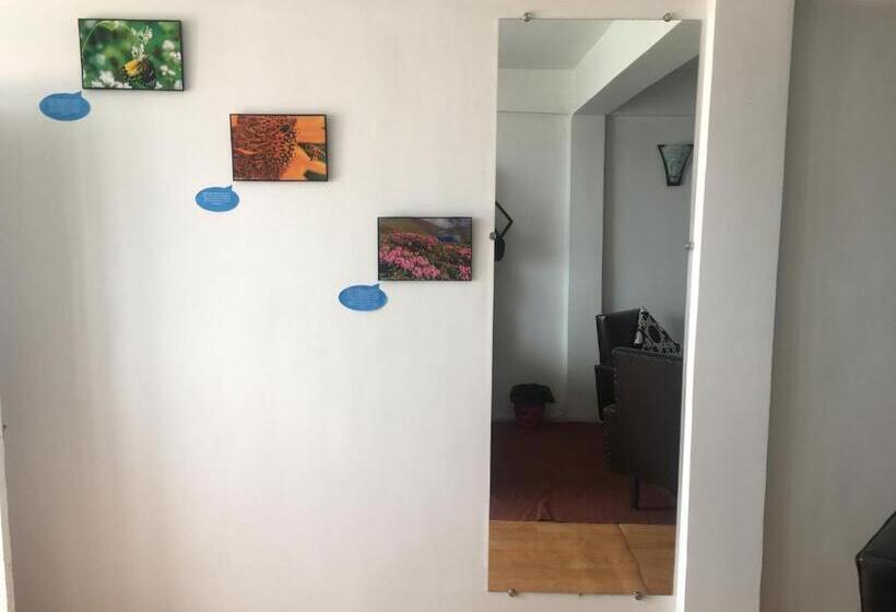 Номер Стандарт, Hideout Backpackers Hostel