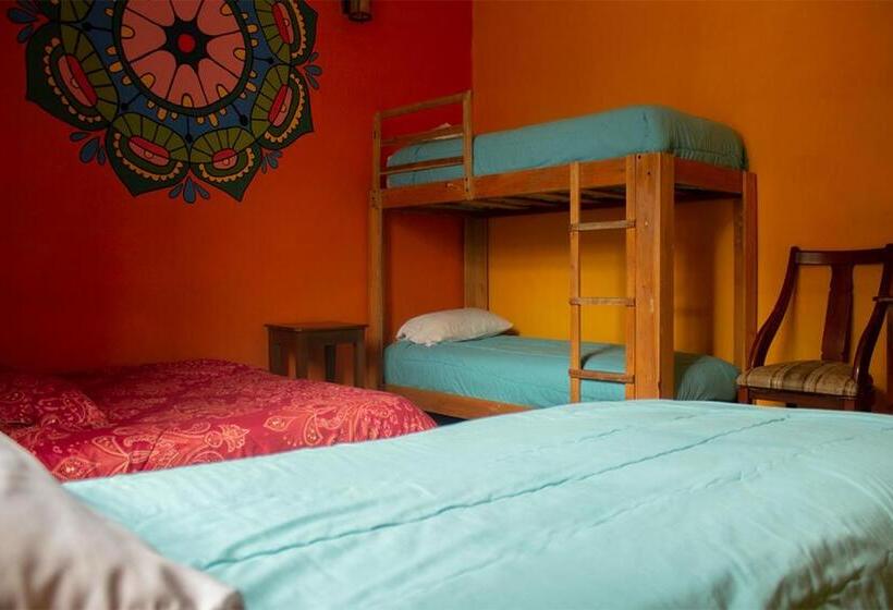 اتاق لوکس خانوادگی, Hostal Café Tiana