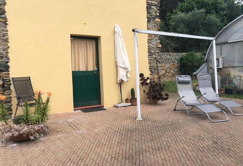 استودیوی استاندارد, Agriturismo Argentea
