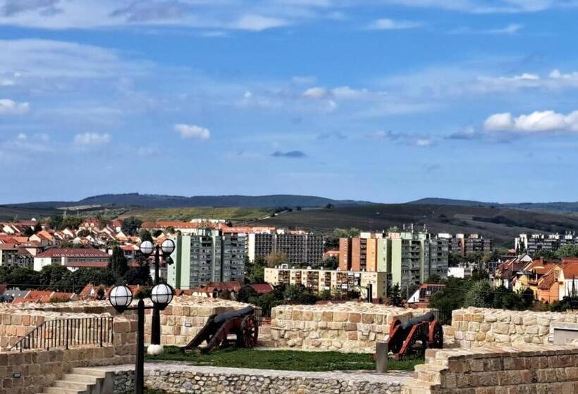 Апартаменты Deluxe 1 Спальня, Orient Apartmanház