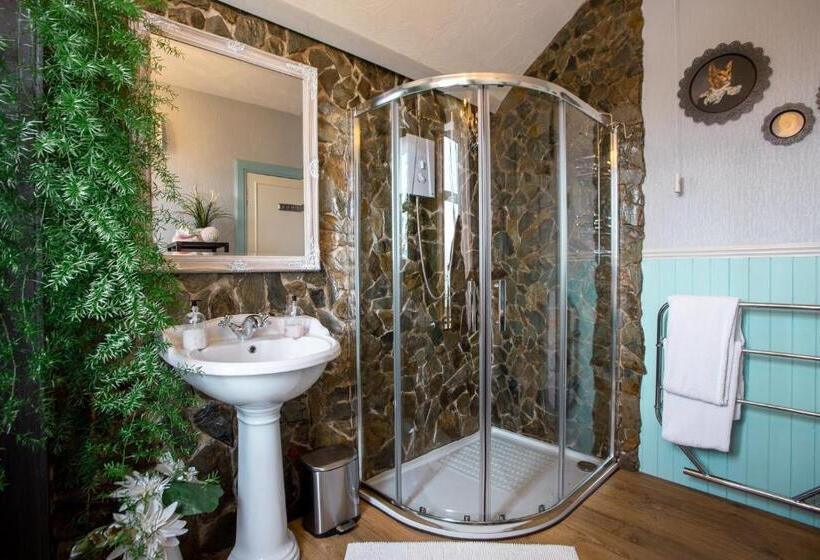 Номер Стандарт Вид на Море, Drumfearne Guesthouse & Tearoom