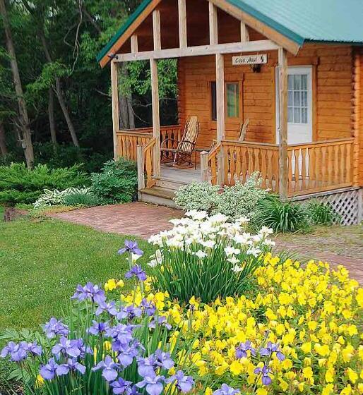 Люкс, Los Gatos Bed & Breakfast