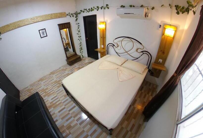 اتاق استاندارد, Akainoie