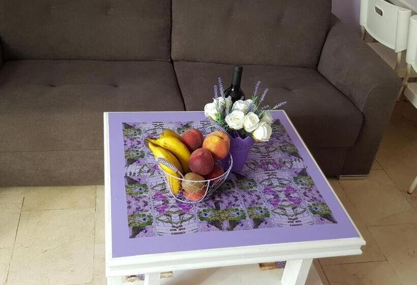 Апартаменты 1 Спальня, Vila Lavanda
