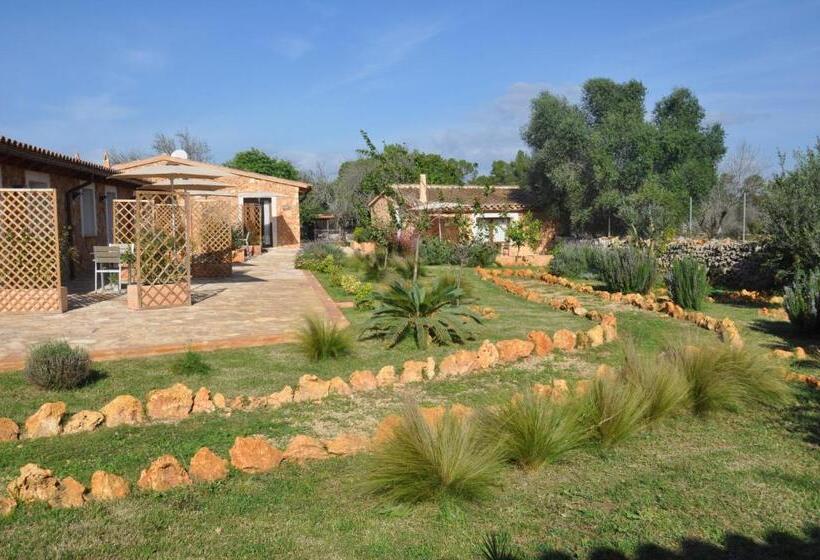 اتاق استاندارد, Can Porretí Agroturisme