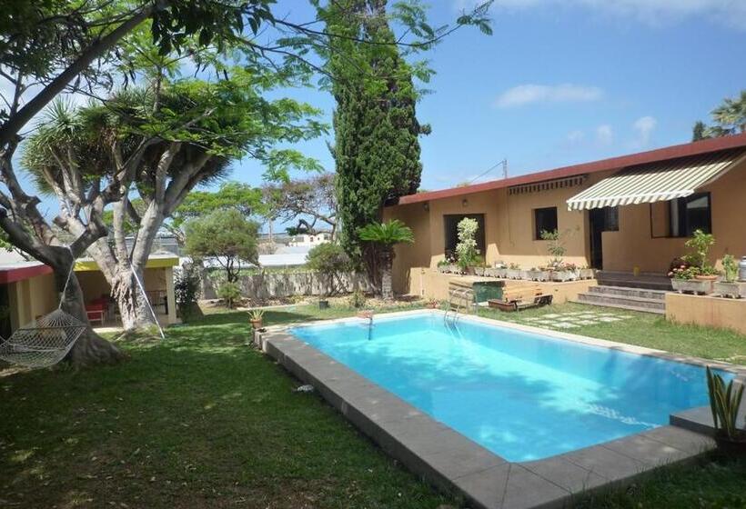 Номер Стандарт, Lagarto Hostel Tenerife