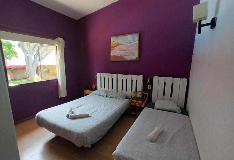 Номер Стандарт Совместная Ванная, Lagarto Hostel Tenerife