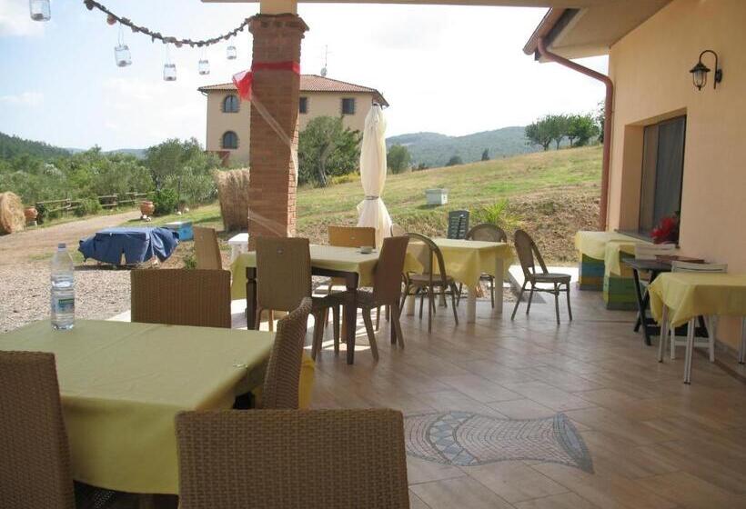 Апартаменты 1 Спальня, Agriturismo La Steccaia Alta