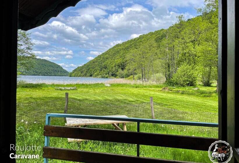 Номер Стандарт, Parc Animalier Du Hérisson