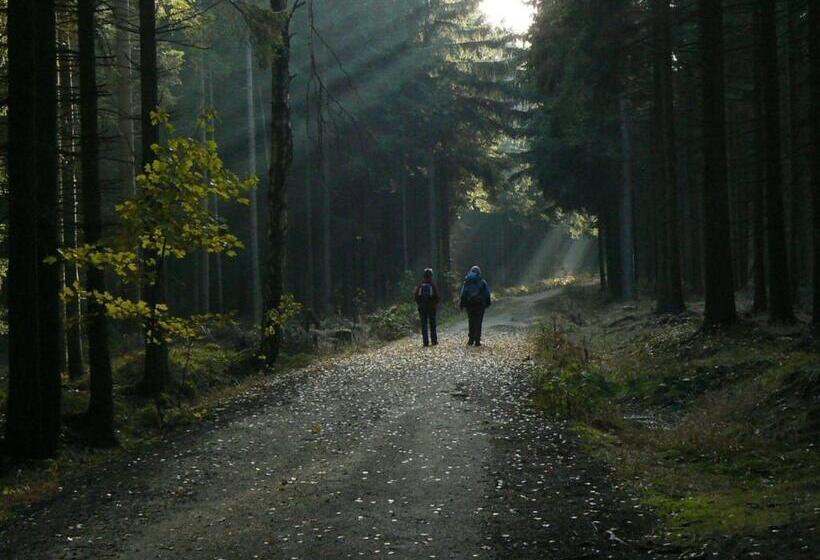 Номер Стандарт, Zimmervermietung Heide Fiege