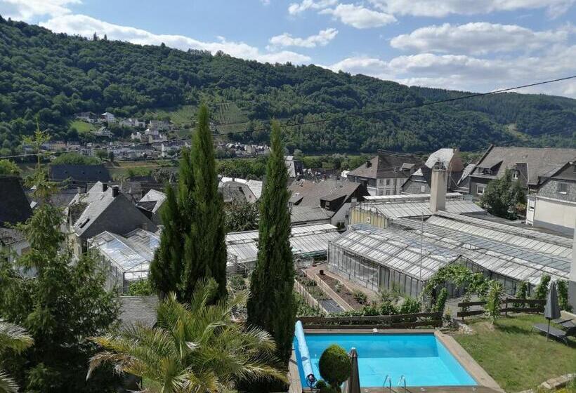 带阳台的标准单人间, Weingut Stiftshof