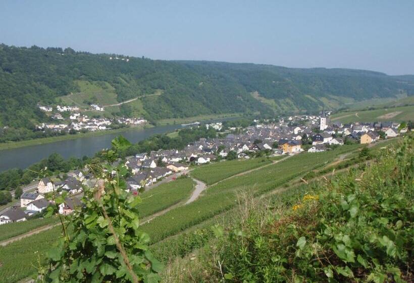 带阳台的标准单人间, Weingut Stiftshof