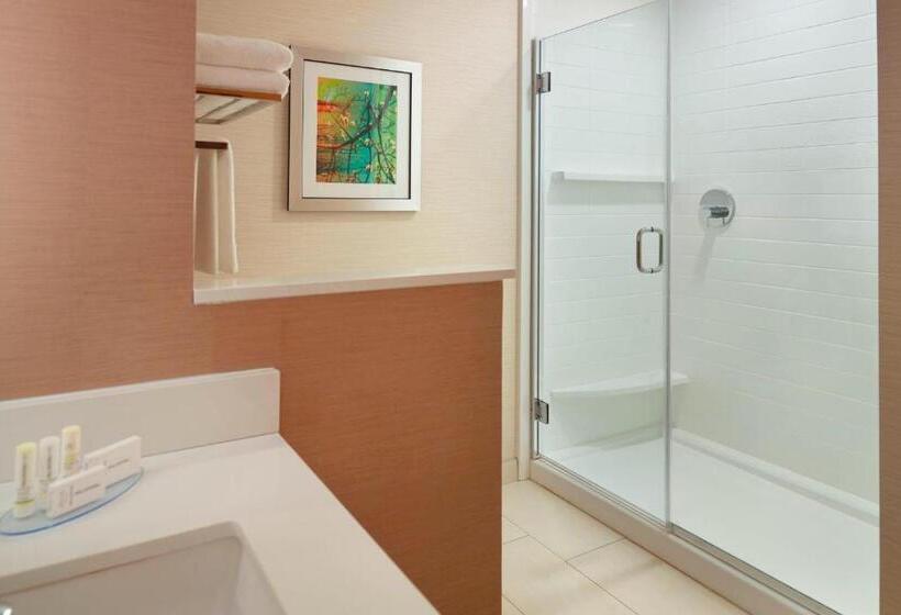 Стандартный Номер Кровать Кинг, Fairfield Inn & Suites By Marriott Hendersonville Flat Rock