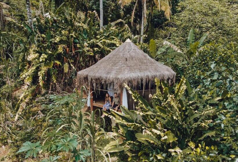 高级洋房, Jungle Lodge