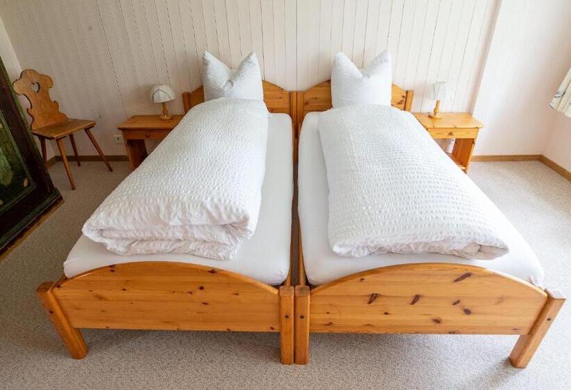 اتاق استاندارد با سرویس بهداشتی مشترک, Ferienhotel Idyll Gais
