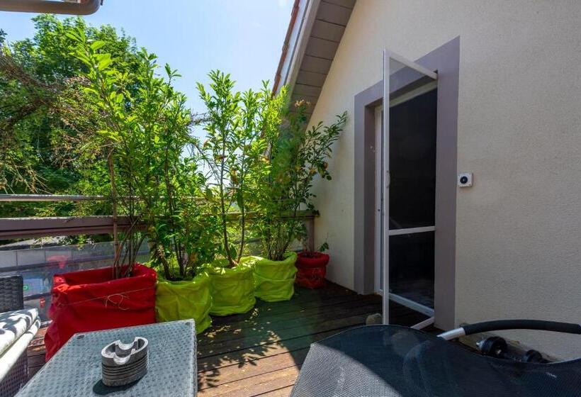 Номер Стандарт с Террасой, Bnb Comfort Guesthouse Olten   Lostorf