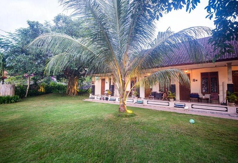 Номер Стандарт с Террасой, The Bali Boarding House