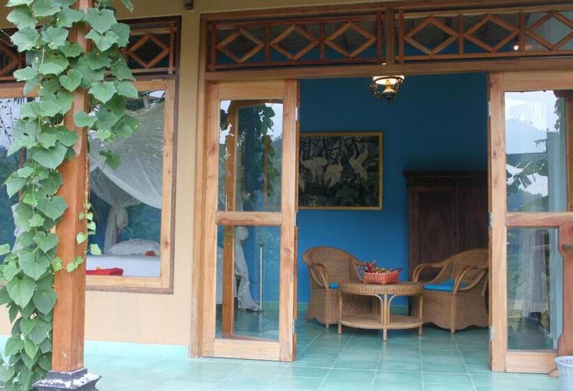 Номер Стандарт, Bebek Biru