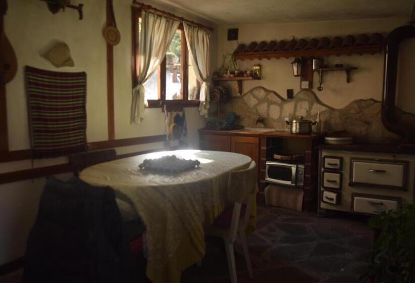 اتاق استاندارد با بالکن, Guest House Zdravets