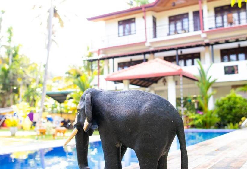 Family Suite, Shan Star Weligama