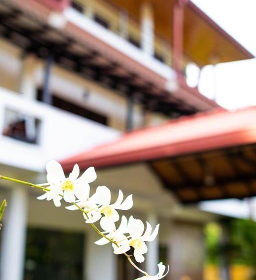 Family Suite, Shan Star Weligama