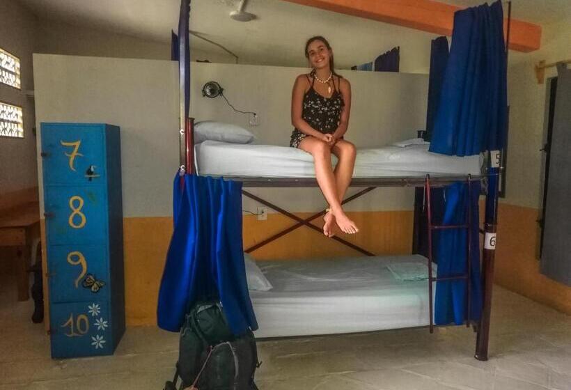 تختخواب در اتاق مشترک, Tower Bridge Hostel