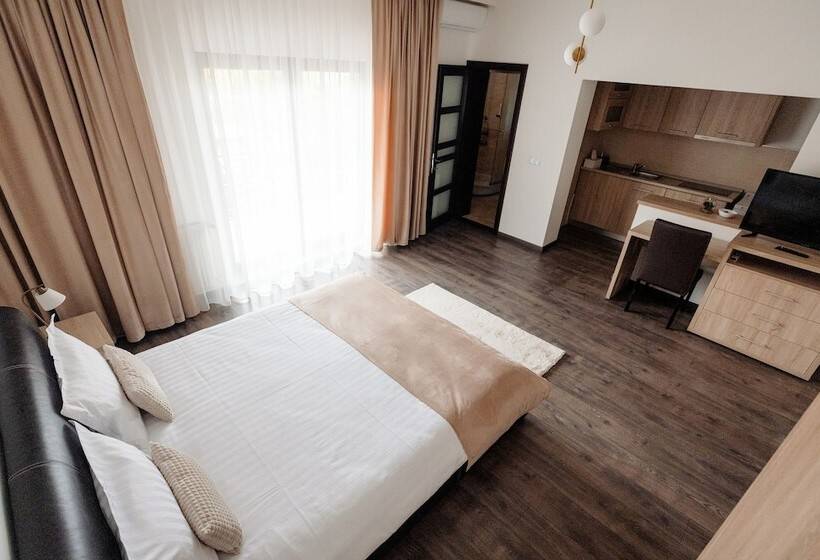 اتاق لوکس, Aparthotel Punct Pe I