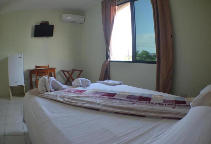 חדר סטנדרט יחיד, Hostal Andry