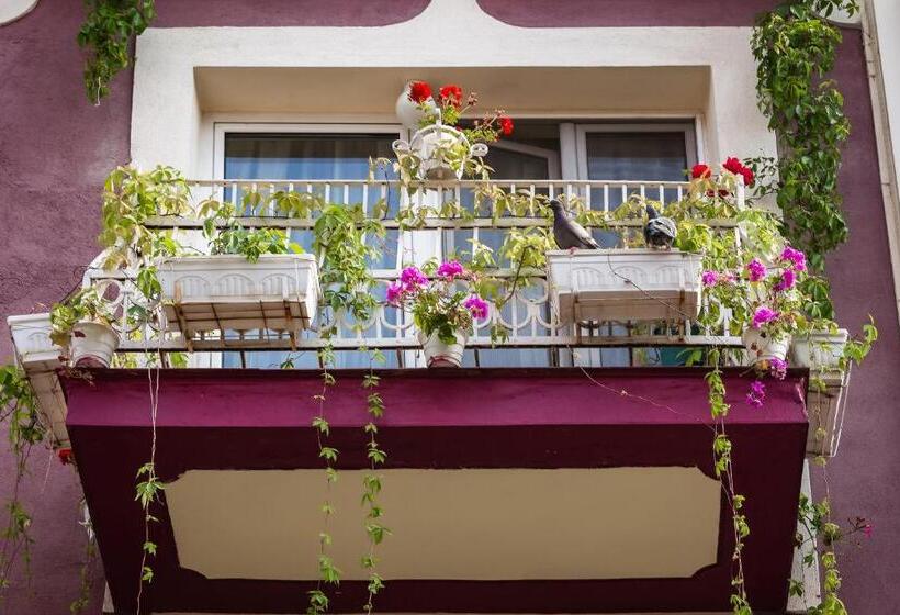 패밀리 룸, Residence Art Guest House