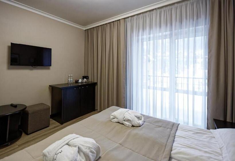 غرفة قياسية, Marmaros Apart Hotel & Spa