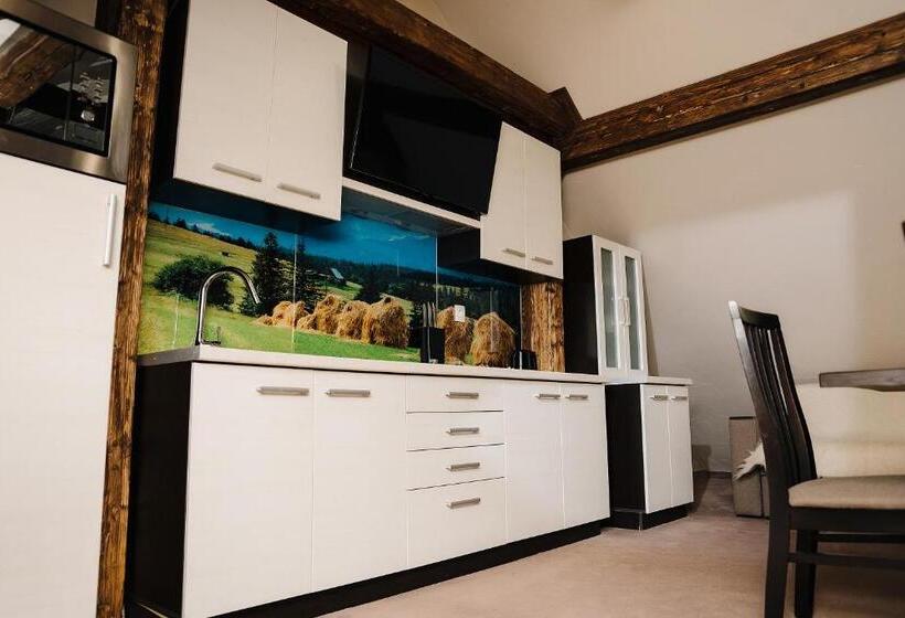 إستوديو قياسى, Marmaros Apart Hotel & Spa