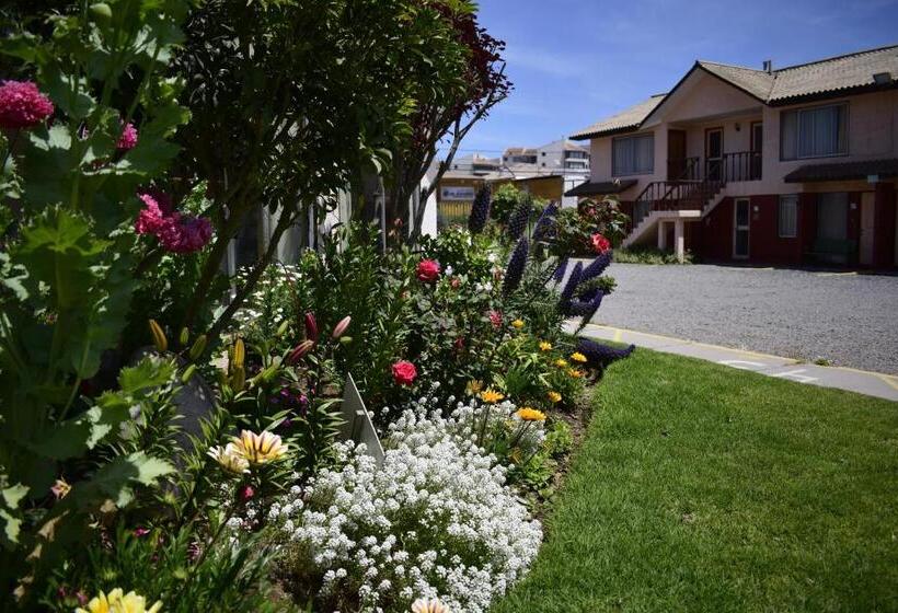 Apartament 1 Sypialnia, Apart Hotel Y Cabanas Vegasur