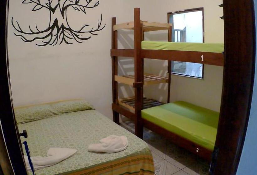 اتاق چهار تخته با دستشویی مشترک, Hostel Freedive Inn