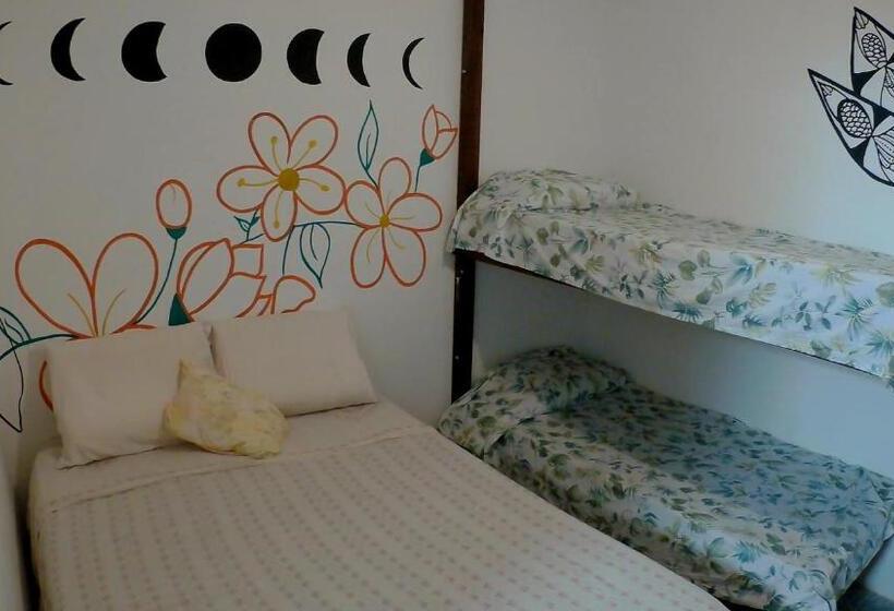 Economy Quadruple Room, Hostel Freedive Inn