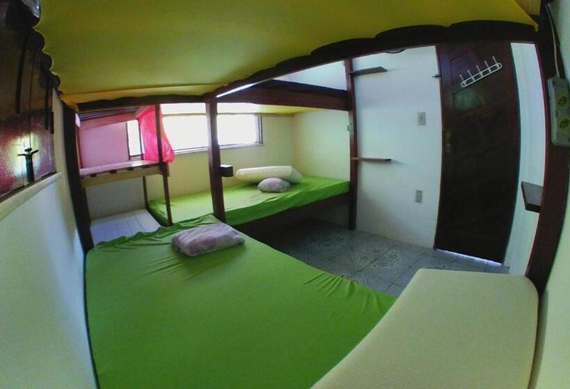 تختخواب در اتاق مشترک, Hostel Freedive Inn