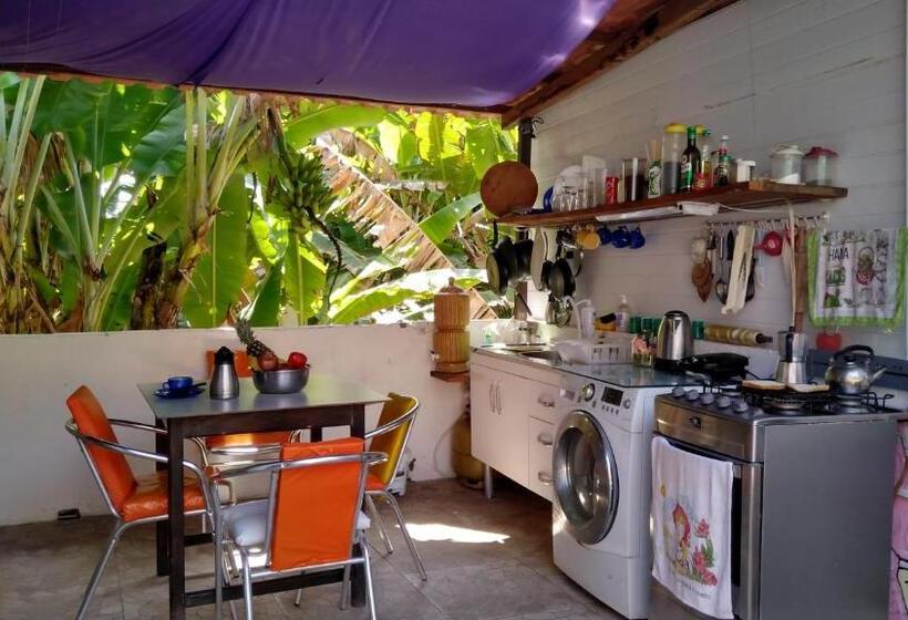 تختخواب در اتاق مشترک, Hostel Freedive Inn