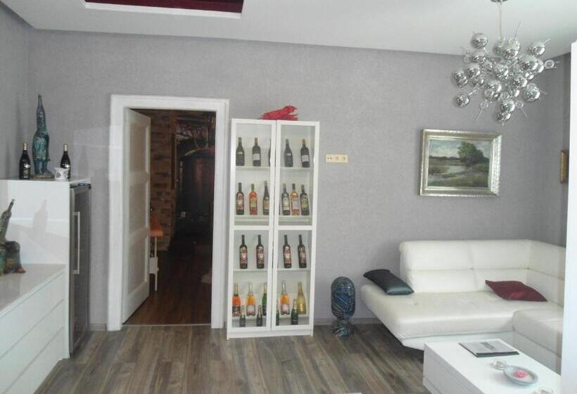 سوییت لوکس, Luxusni Apartmany Stodolni