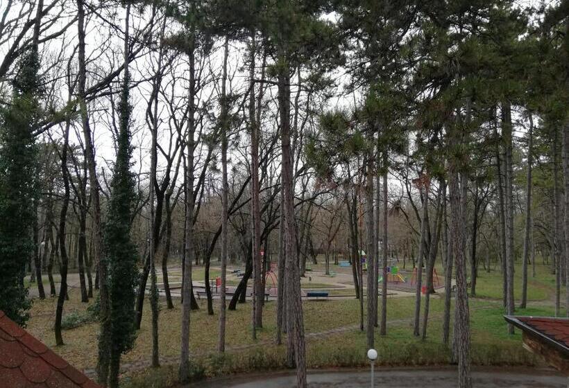 标准单人间, Les