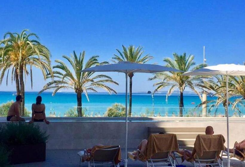 Camera Superiore, Myseahouse Flamingo - Adults Only 4* Sup