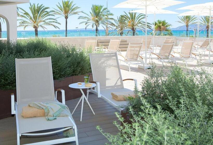 Camera Superiore, Myseahouse Flamingo - Adults Only 4* Sup