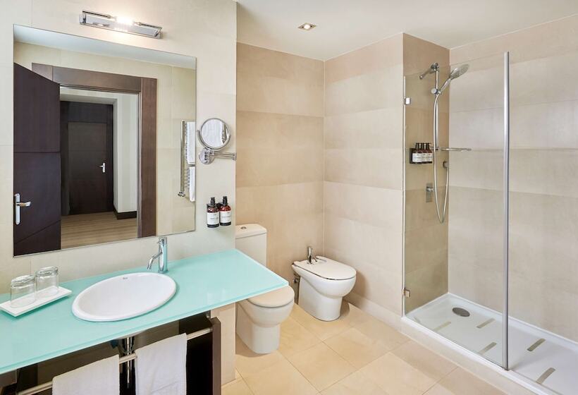 Habitación Superior, NH Madrid Lagasca